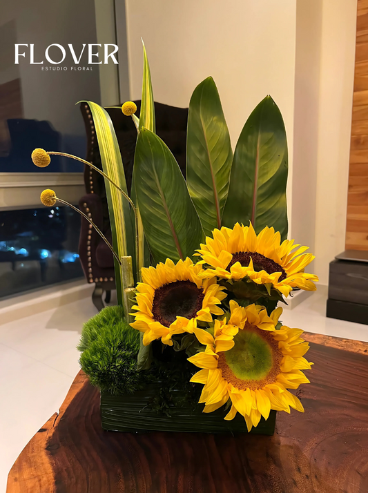 Arreglo Sol Radiante
